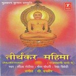 Bhanwar Chaudhary Songs MP3 Download